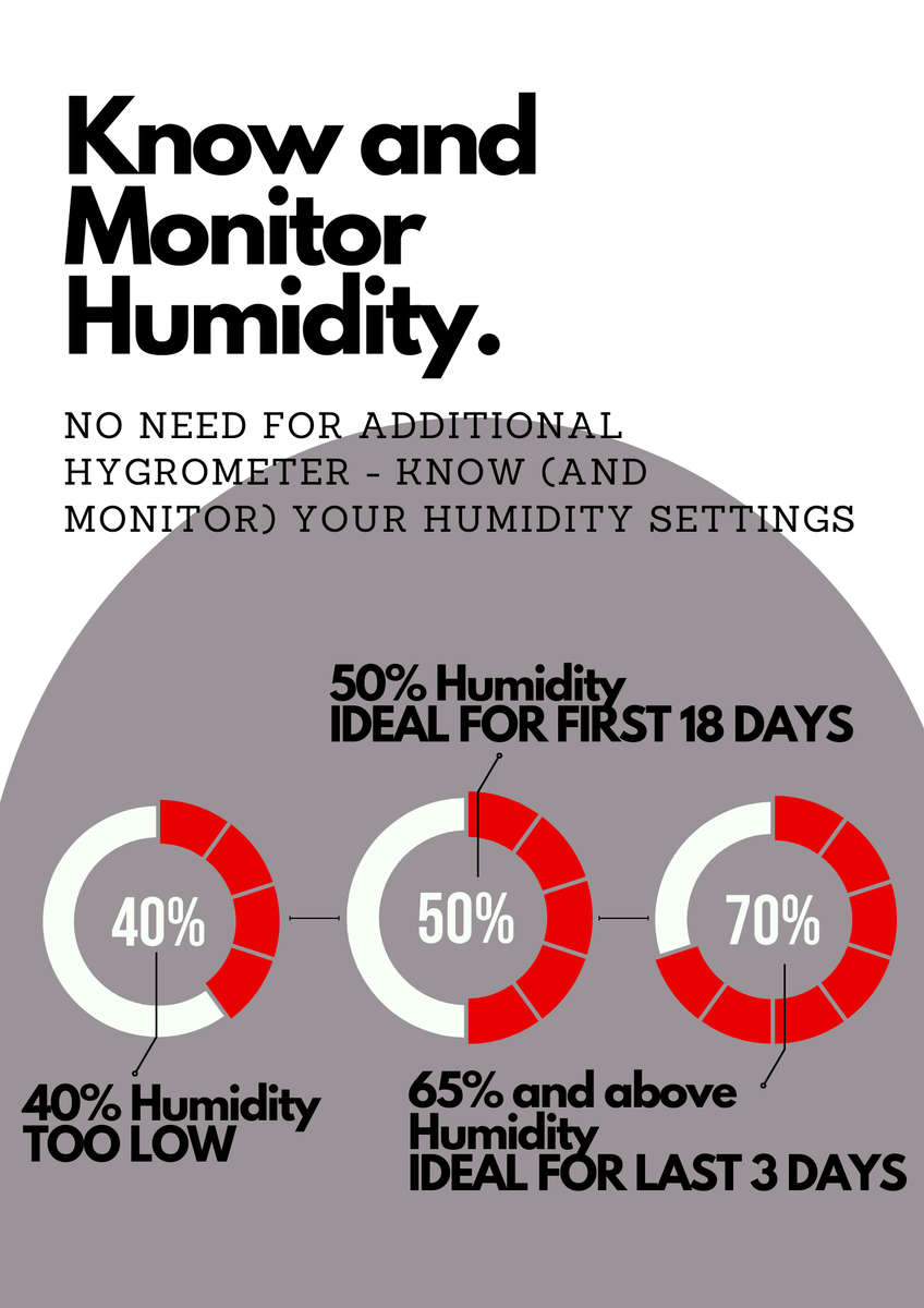 Advanced 1000-Egg Incubator - Perfect for Both Setting and Hatching