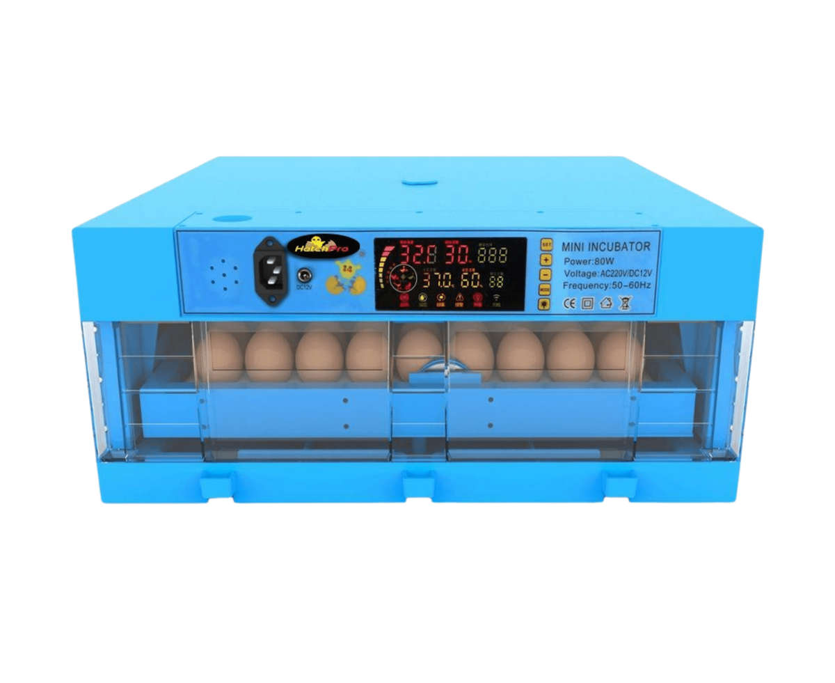 60 EGG INCUBATOR - DUAL VOLTAGE