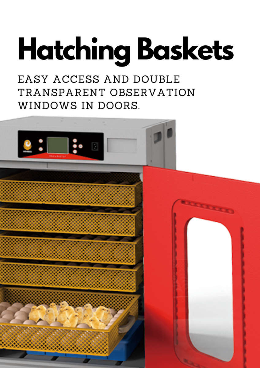 Advanced 1000-Egg Incubator - Perfect for Both Setting and Hatching