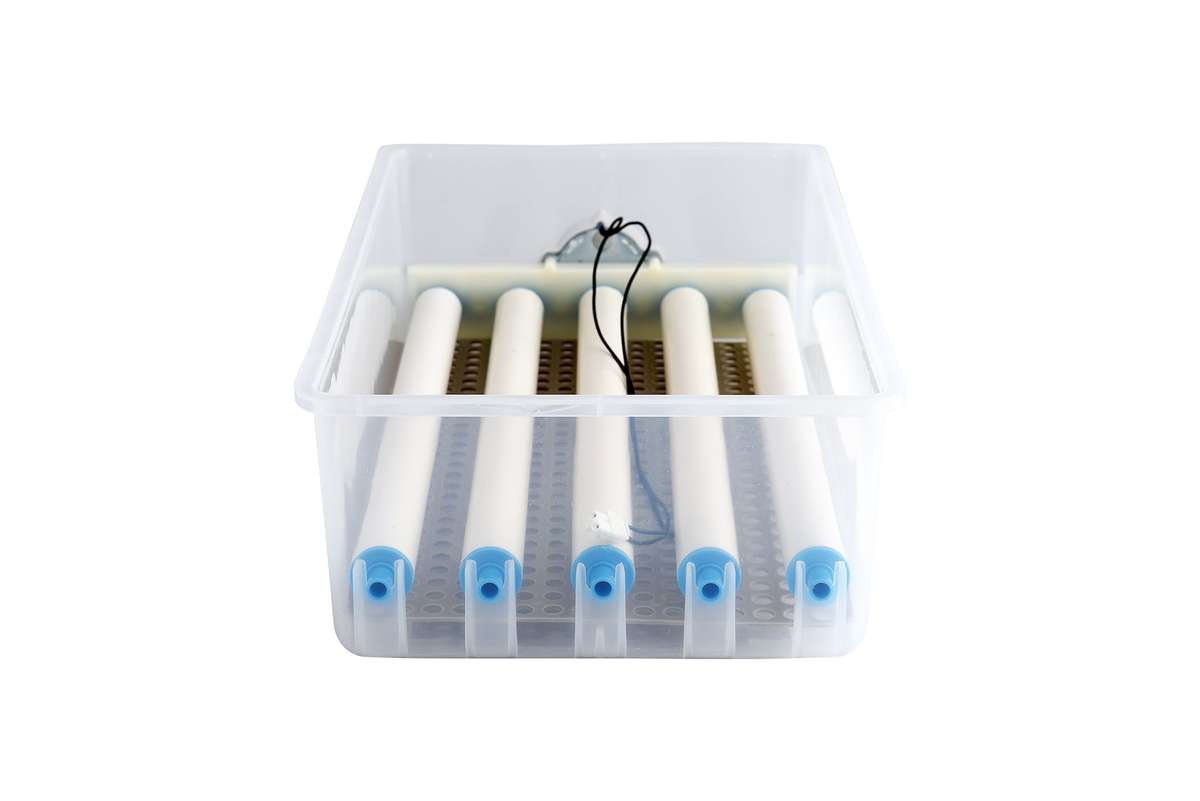 40 Quail Egg Automatic Roller Incubator - Dual Voltage