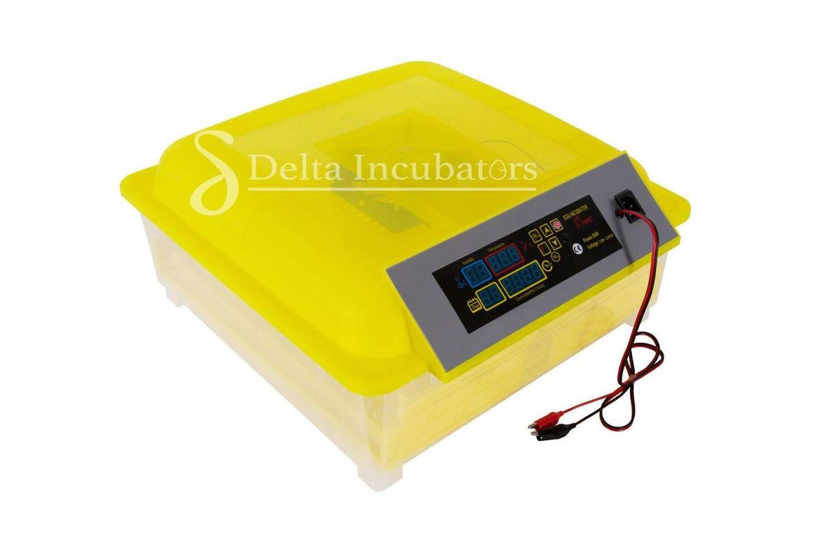 48 Egg Automatic Incubator  Dual Voltage