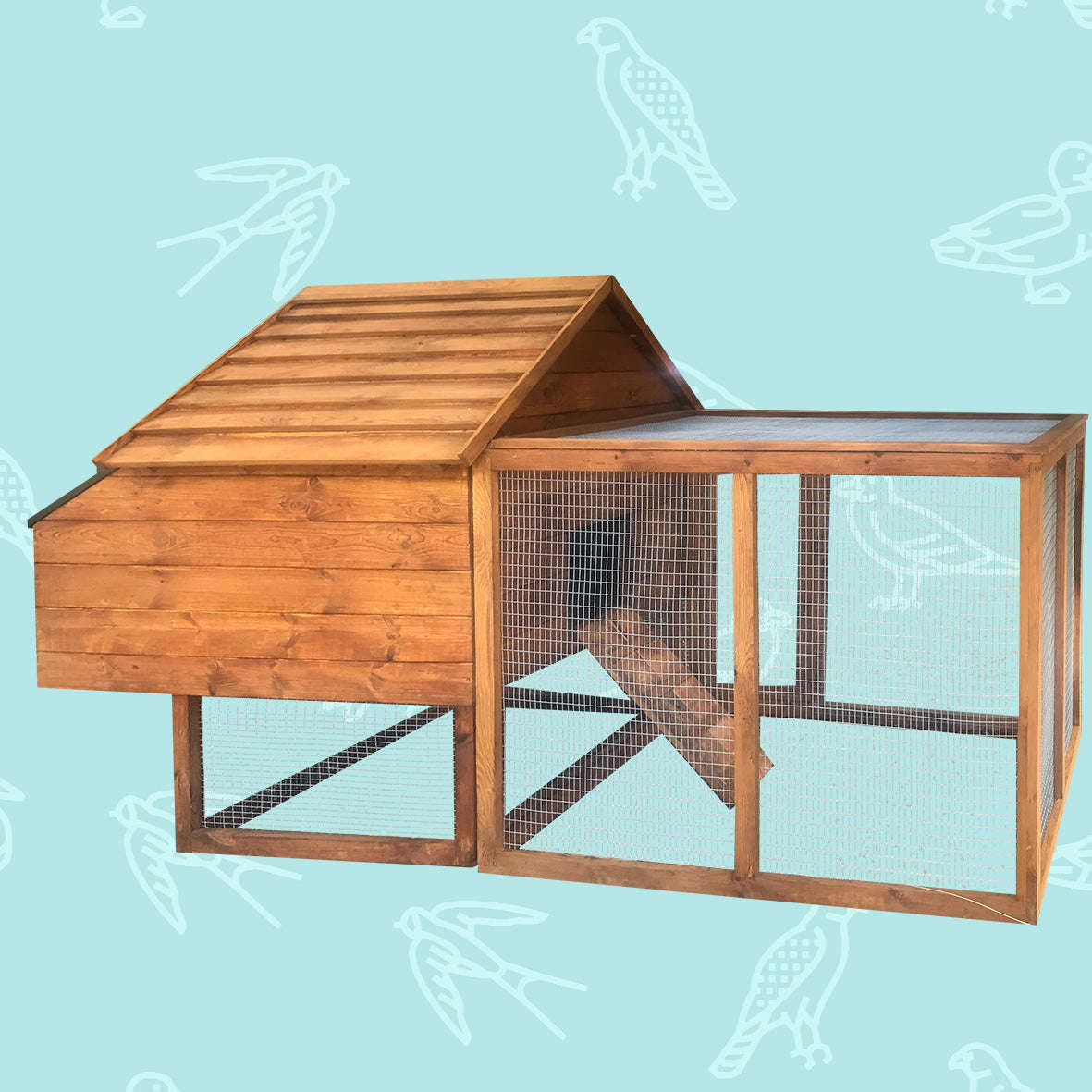 Chicken Coop with Nesting Box and Run