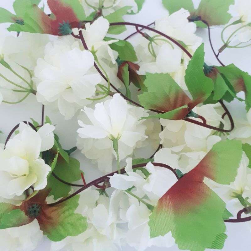 white flower strand