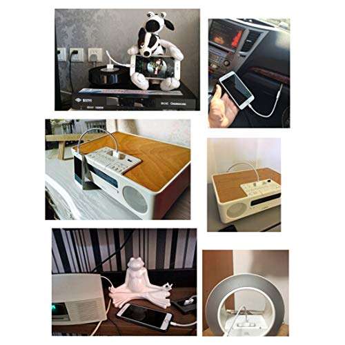 Lightning to 30-Pin Adapter 8-Pin to 30-Pin Charge and Sync Cable Adapter Converter