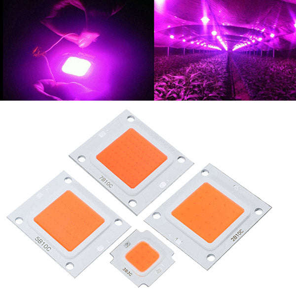 2019 New Quantum Board Plant Full Spectrum 50W COB LED Grow Light