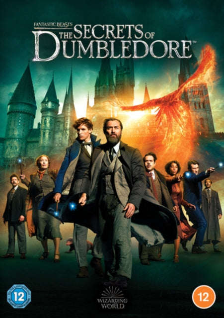 The Secrets Of Dumbledore (DVD)