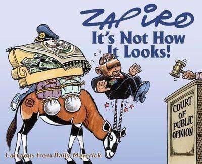 It's Not how it Looks!: Cartoons from Daily Maverick - Zapiro