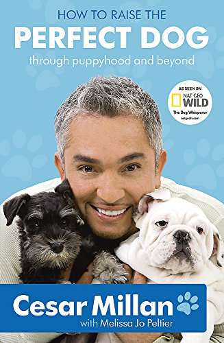 How to Raise the Perfect Dog : Through Puppyhood and Beyond Cesar Millan