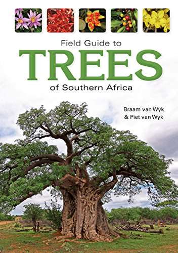 Field Guide to Trees of Southern Africa - Braam Van Wyk & Piet Van Wyk