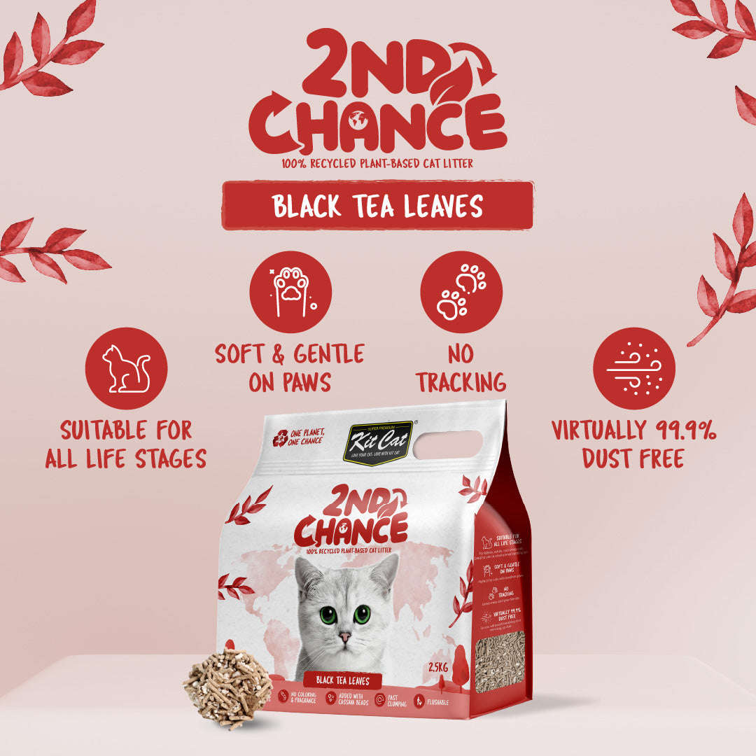 Kit Cat 2nd Chance Cat Litter 2.5kg