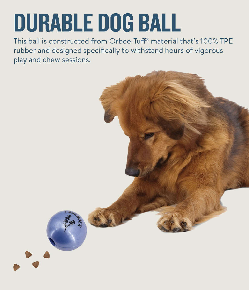 Petstages Planet Dog Orbee-Tuff Essentials Scented Ball Treat Dispenser