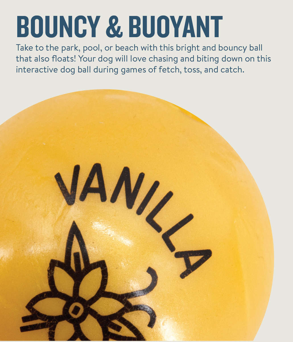 Petstages Planet Dog Orbee-Tuff Essentials Scented Ball Treat Dispenser