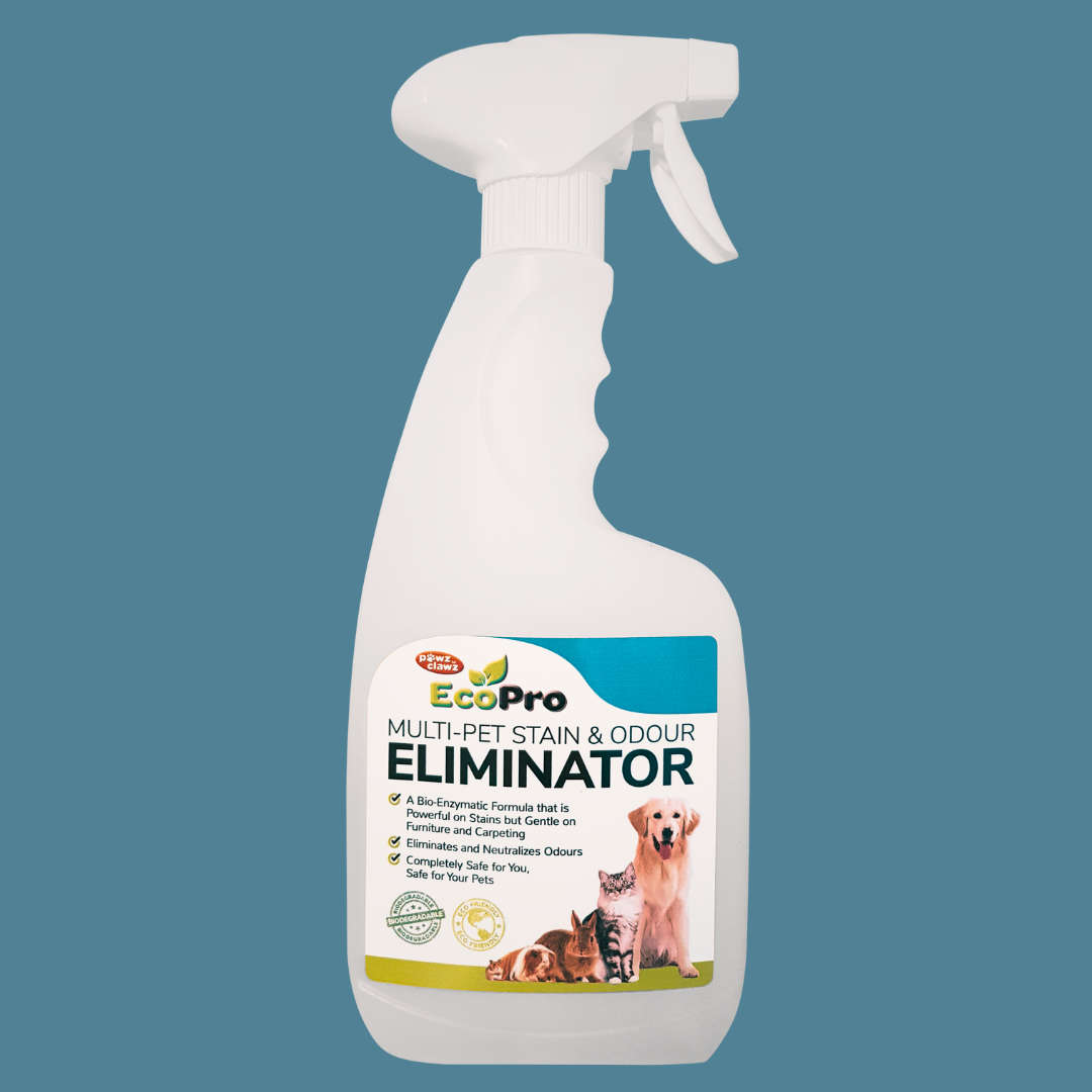 EcoPro Stain & Odour Eliminator (500ml)