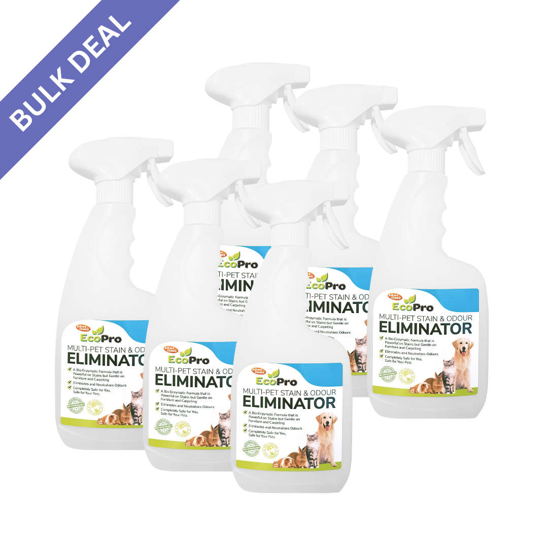 EcoPro Stain & Odour Eliminator Bulk Deal (500ml x 6)