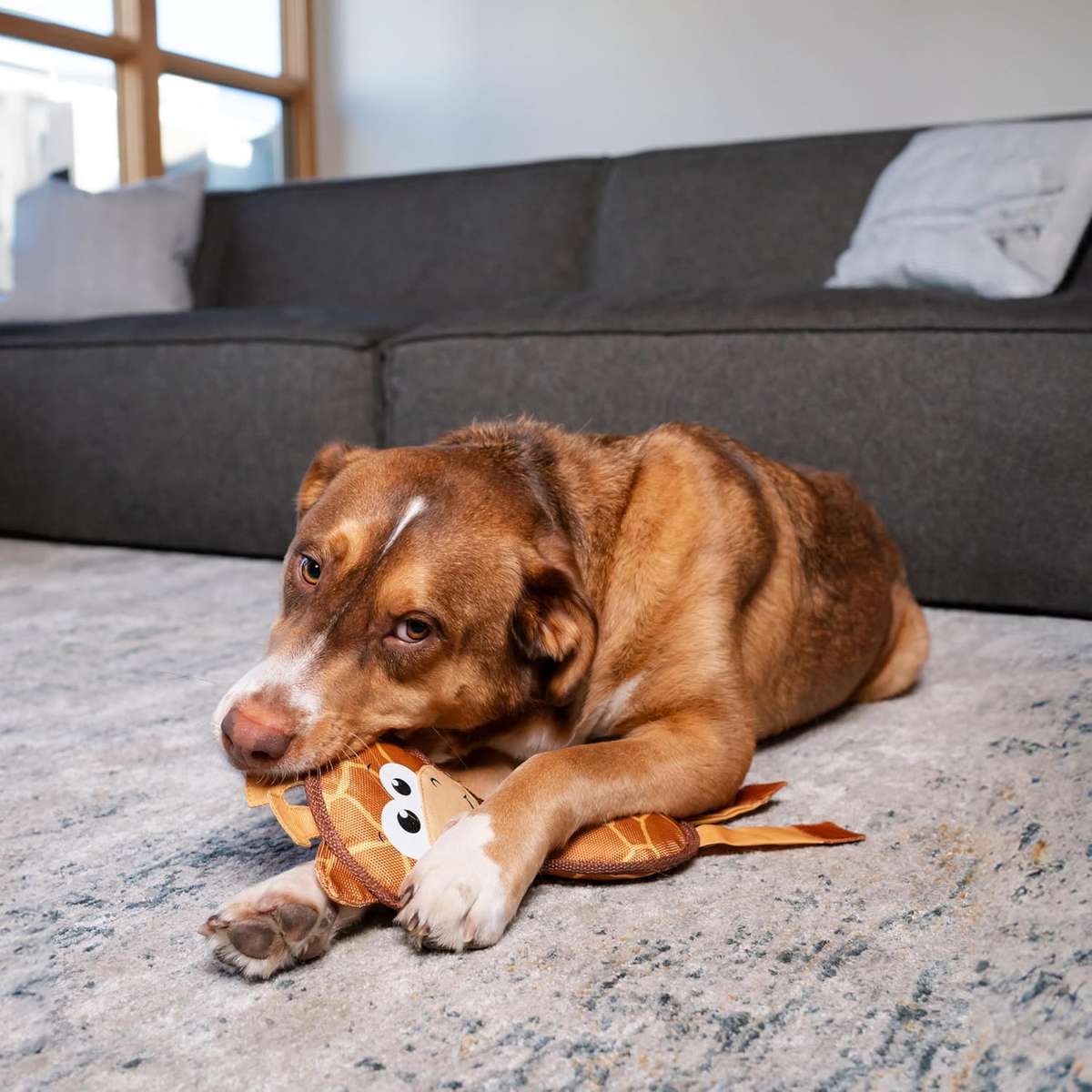 Outward Hound Fire Biterz Giraffe