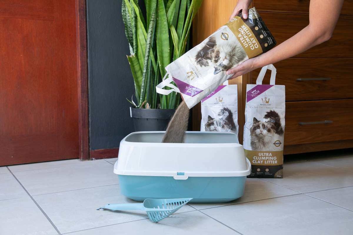 Regal Ultra Clumping Clay Litter