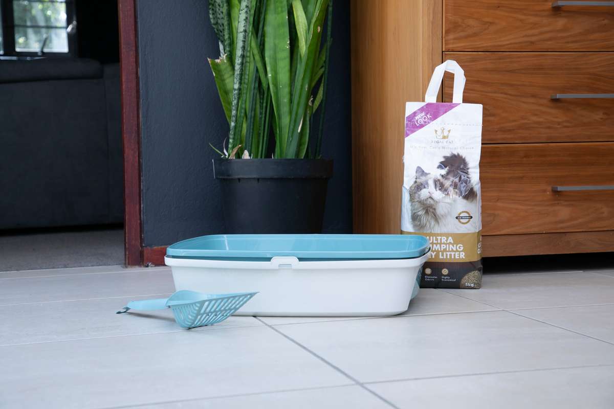 Regal Ultra Clumping Clay Litter