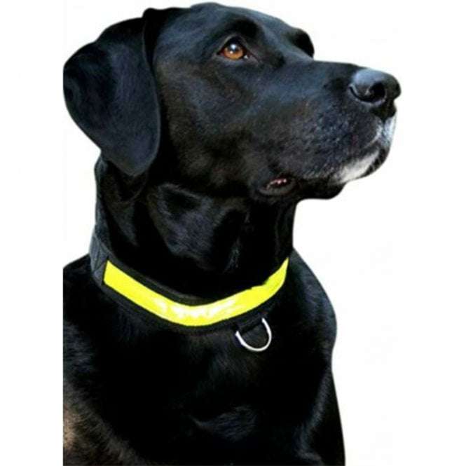 Premium Flashing Collar