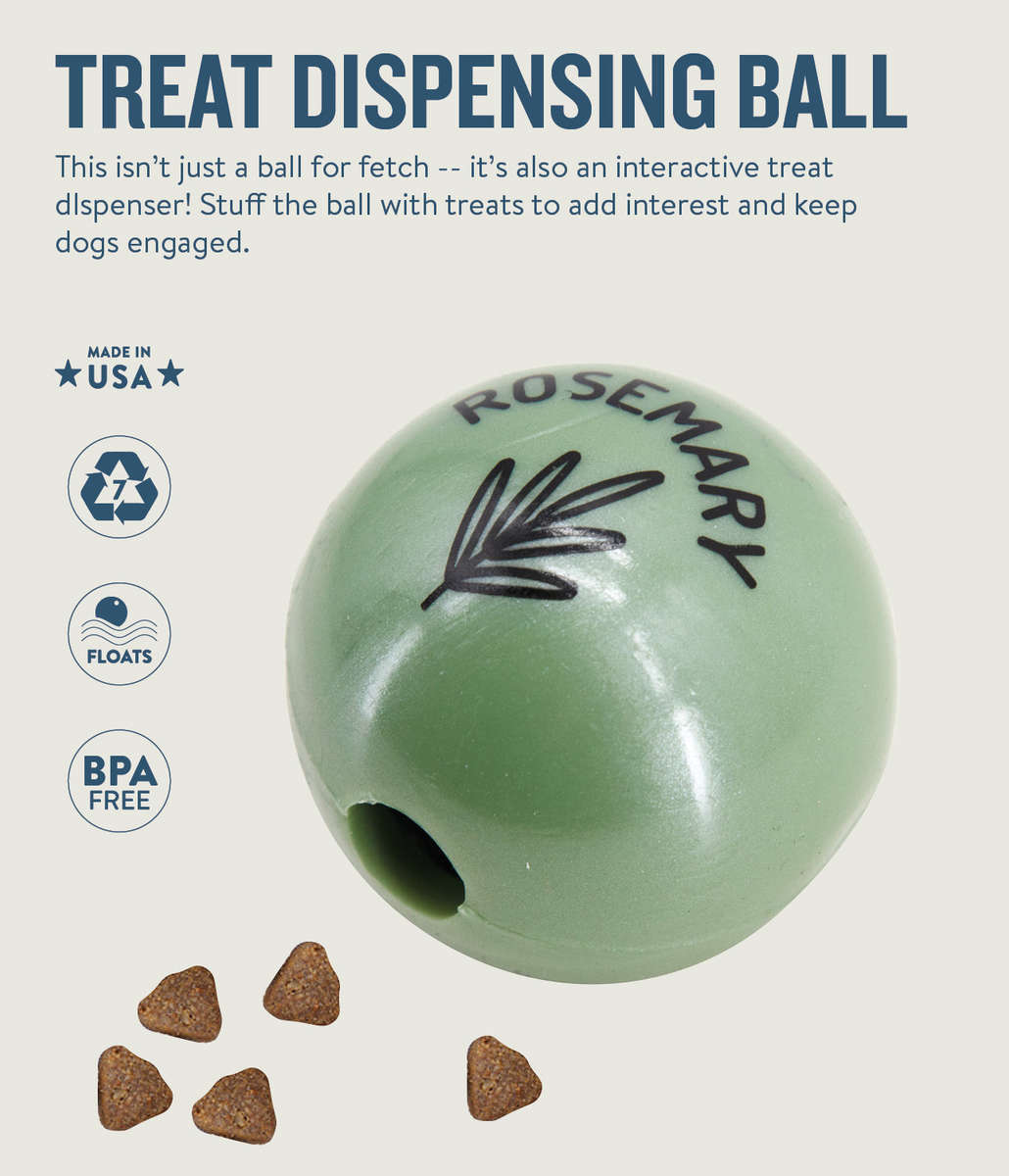 Petstages Planet Dog Orbee-Tuff Essentials Scented Ball Treat Dispenser