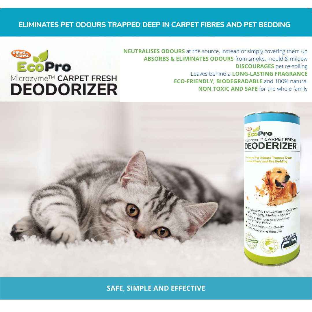 EcoPro Microzyme Carpet Fresh Deodorizer (500g x 6)