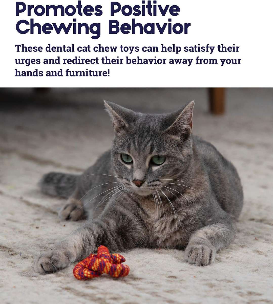 Catnip Plaque Pretzel