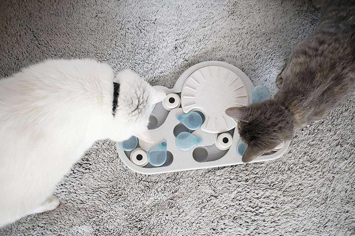 Nina Ottosson Cat Puzzle 'n Play Rainy Day