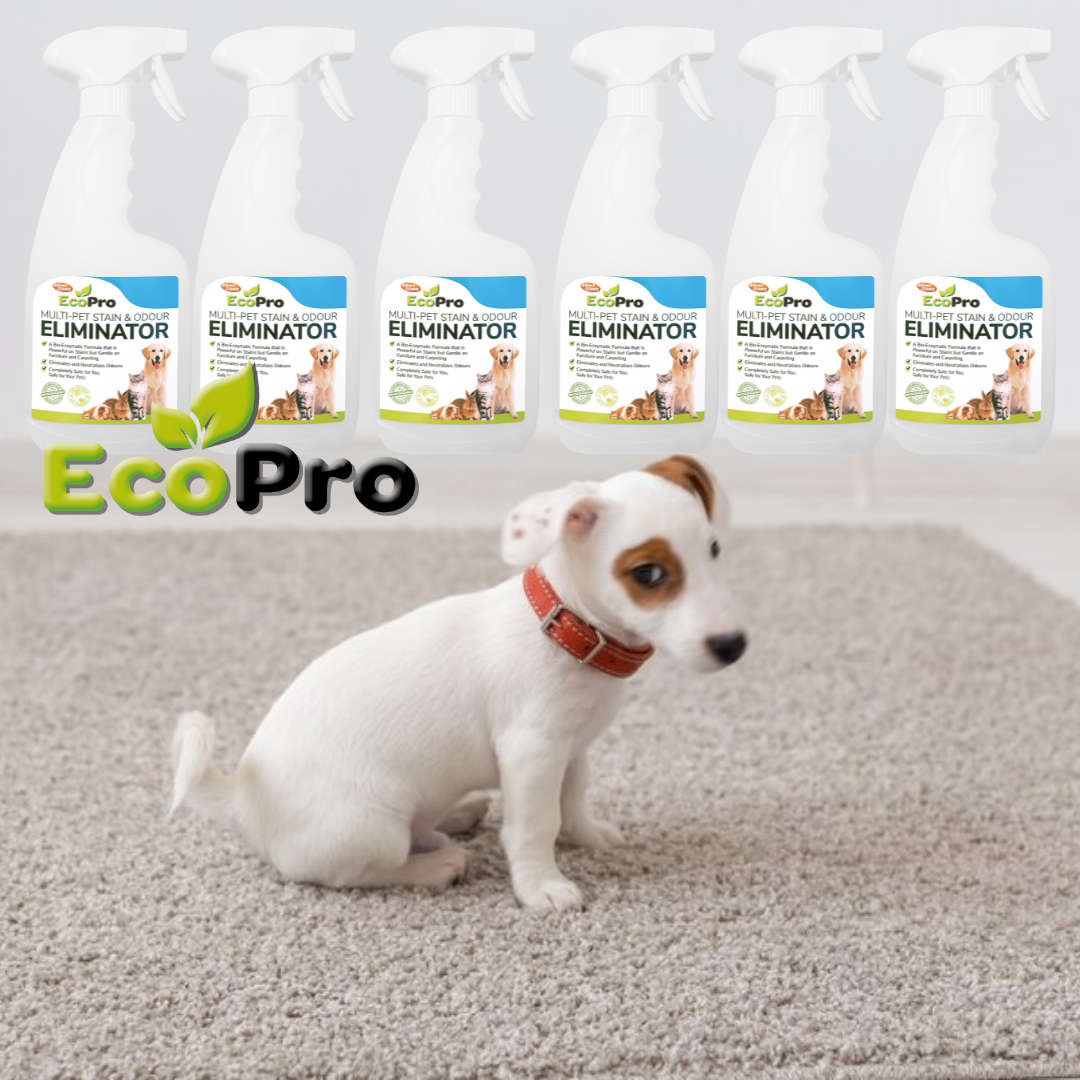EcoPro Stain & Odour Eliminator Bulk Deal (500ml x 6)
