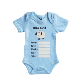 Baby Boys Hello World Babygrow - 0-3 Months