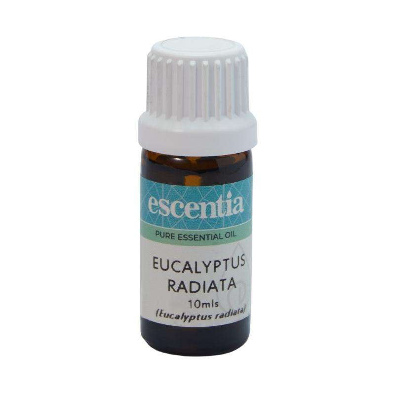 Escentia Eucalyptus Radiata Pure Essential Oil - 50ml