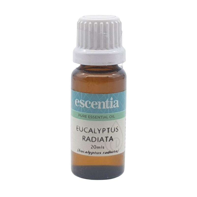 Escentia Eucalyptus Radiata Pure Essential Oil - 50ml