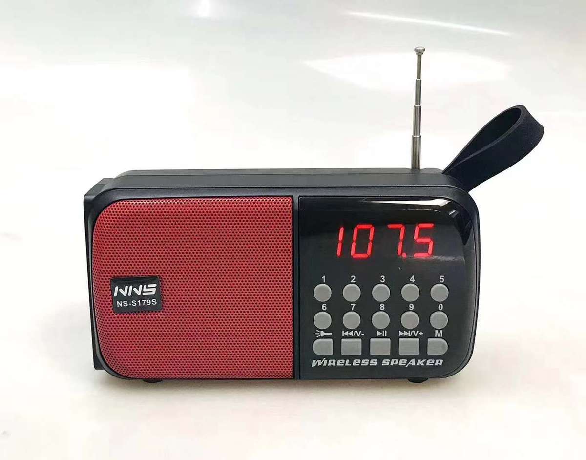 Solar Powered NS-S179S Mini Bluetooth Speaker with Radio