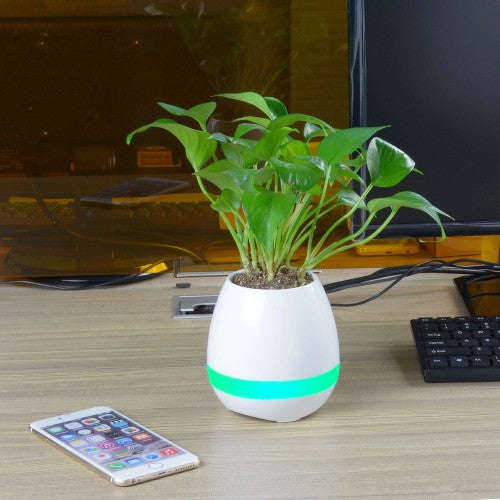 Flowerpot Induction Speaker - White