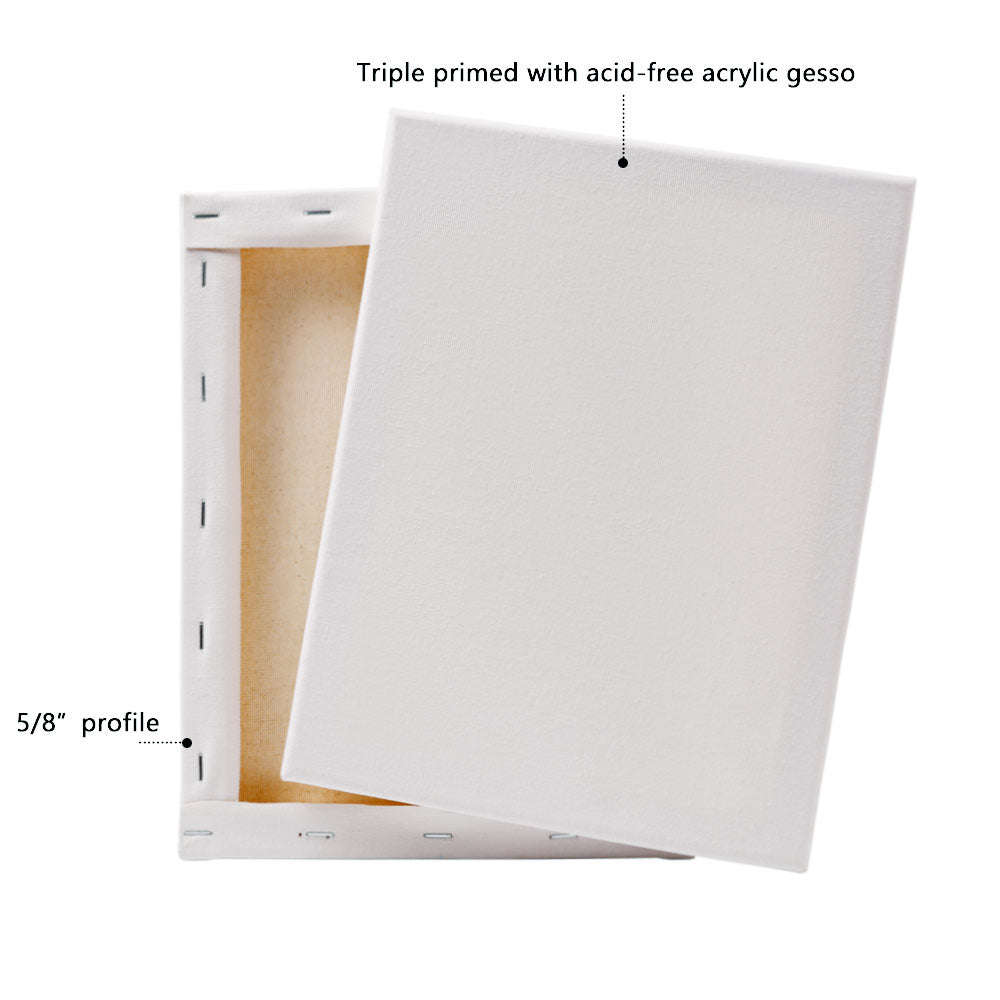 Artecho Stretch Canvas 6 Set Value Pack White - 8" x 10"