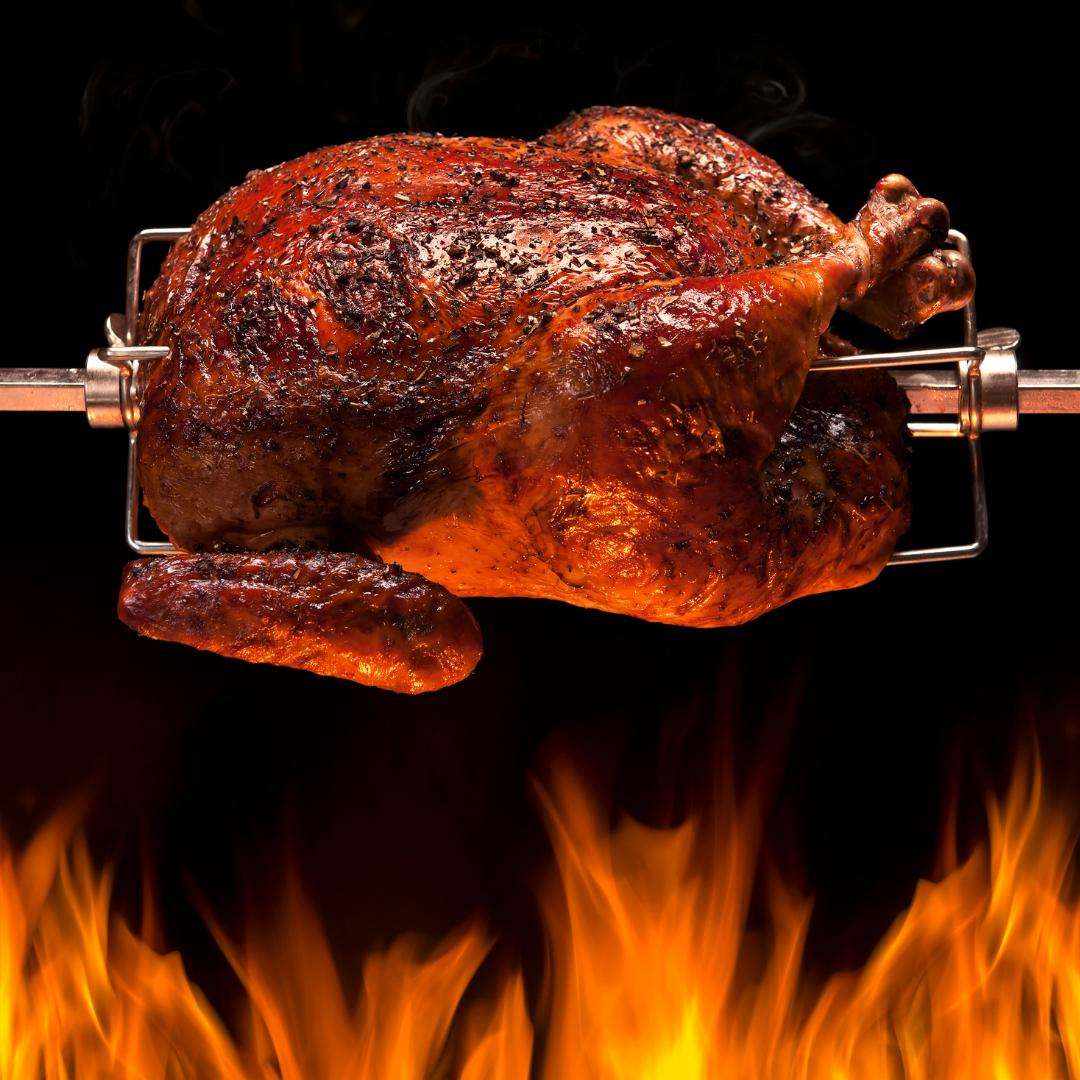 Lifespace Rotisserie Motor