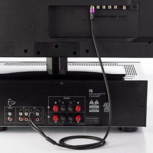 AmazonBasics 1-Male to 2-Male RCA Audio Cable - 2.44 meters