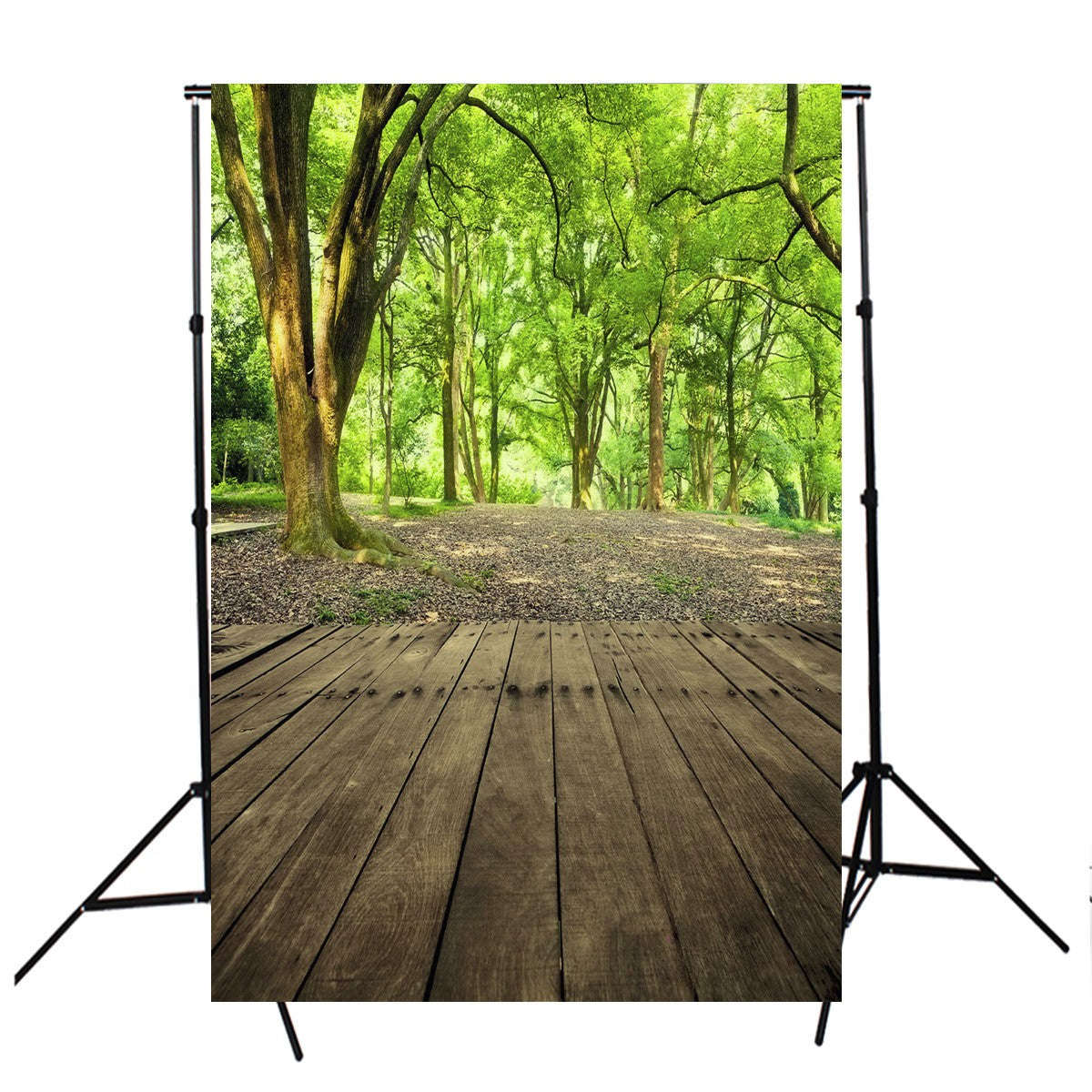 Forest Tree Floor Photography Backdrop