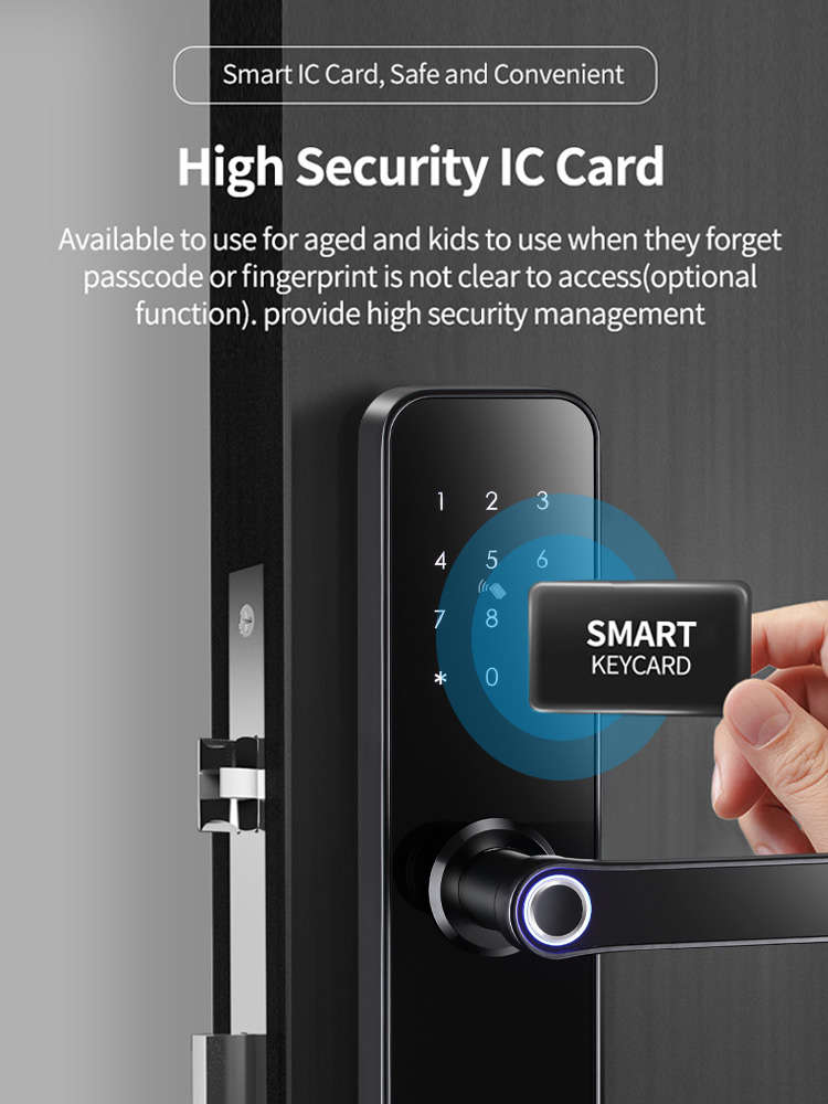 Smart Life Tuya Zigbee Door Handle Fingerprint Keypad Card Lock | H1 | Black