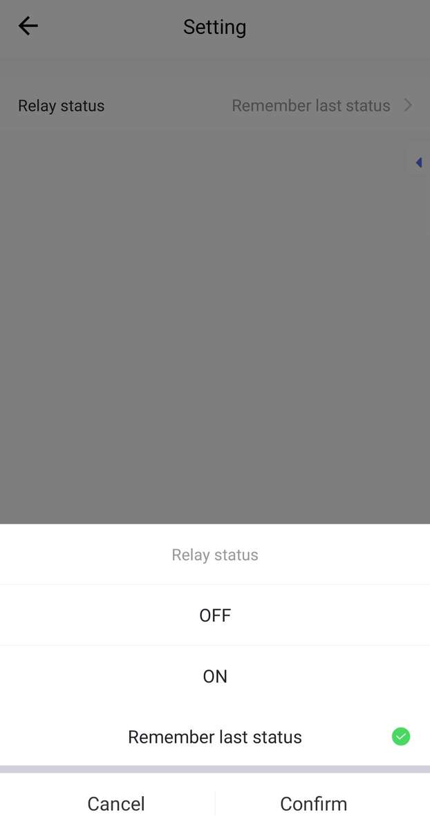 Smart Life Tuya WIFI 1CH DC8-40V 12V 24V 10A Max Active Switch Relay