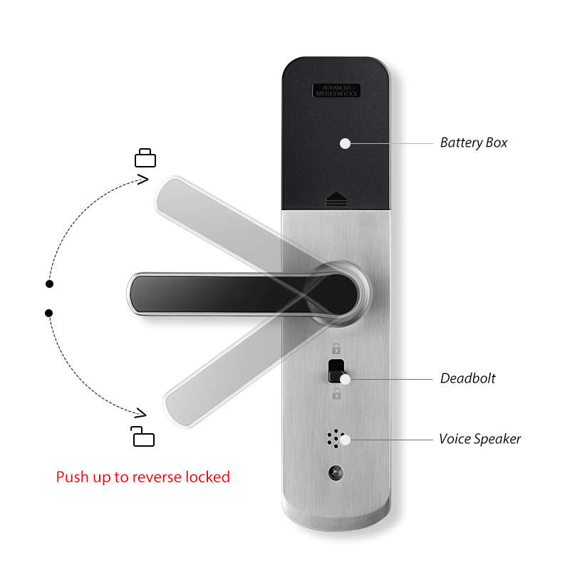 Smart Life Tuya Zigbee Door Handle Fingerprint Keypad Card Lock | H1 | Black & Silver