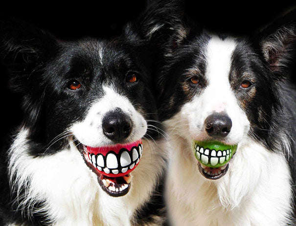 Dog smile balls