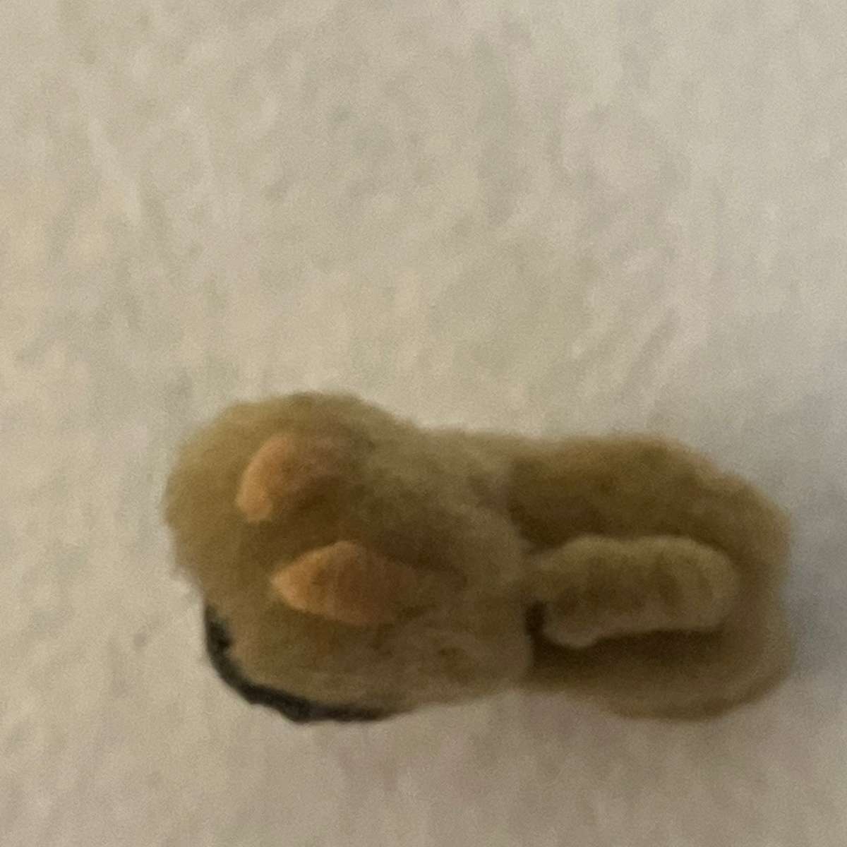 Miniature Fluffy Monkey