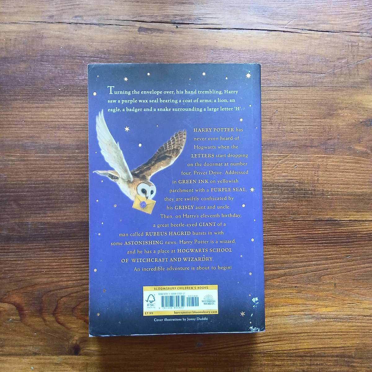 Harry Potter and the Philosopher's Stone (J.K. Rowling)