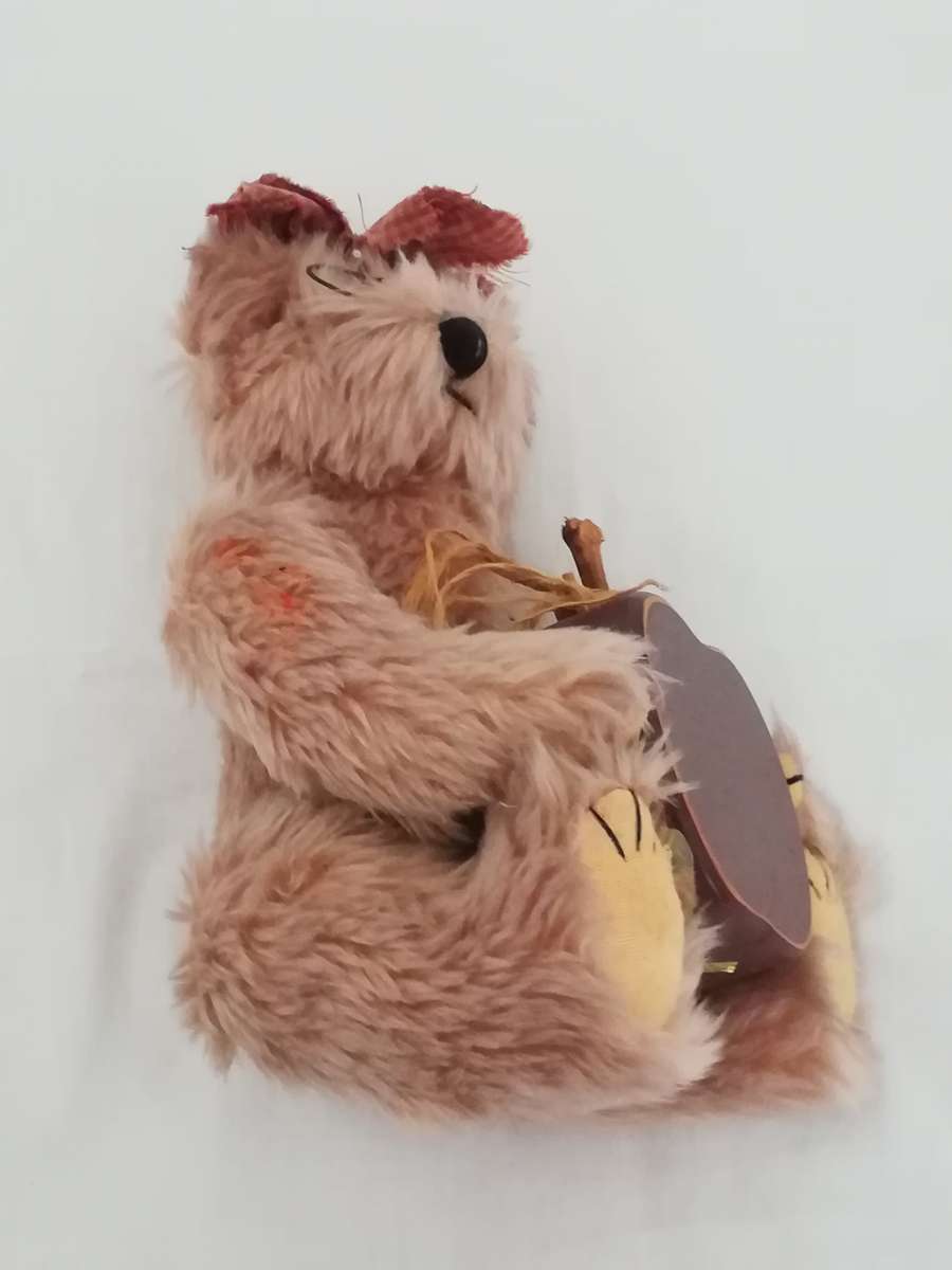 Teddy Bear with Spectacles and Suitcase - Adorable
