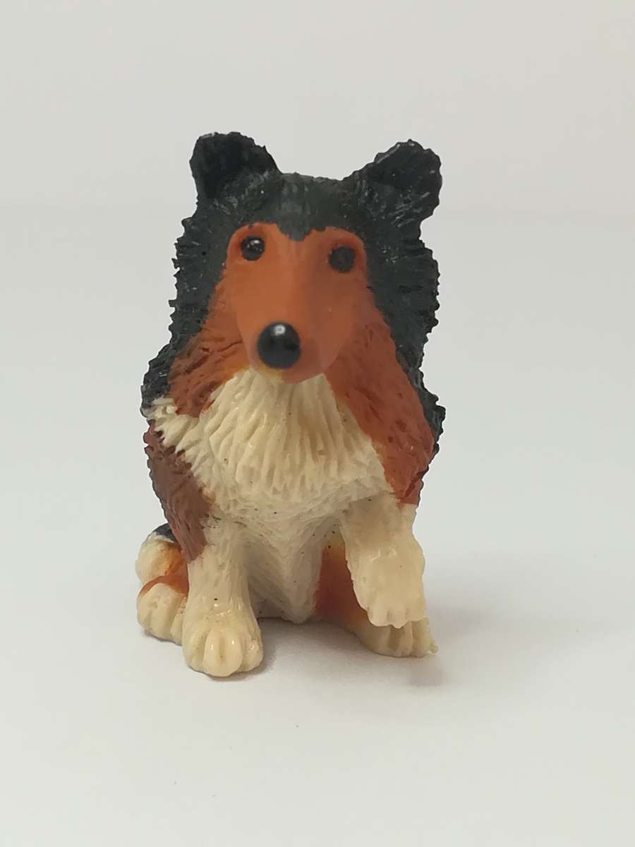 Miniature Collie Dog (In My Pocket) Collectable