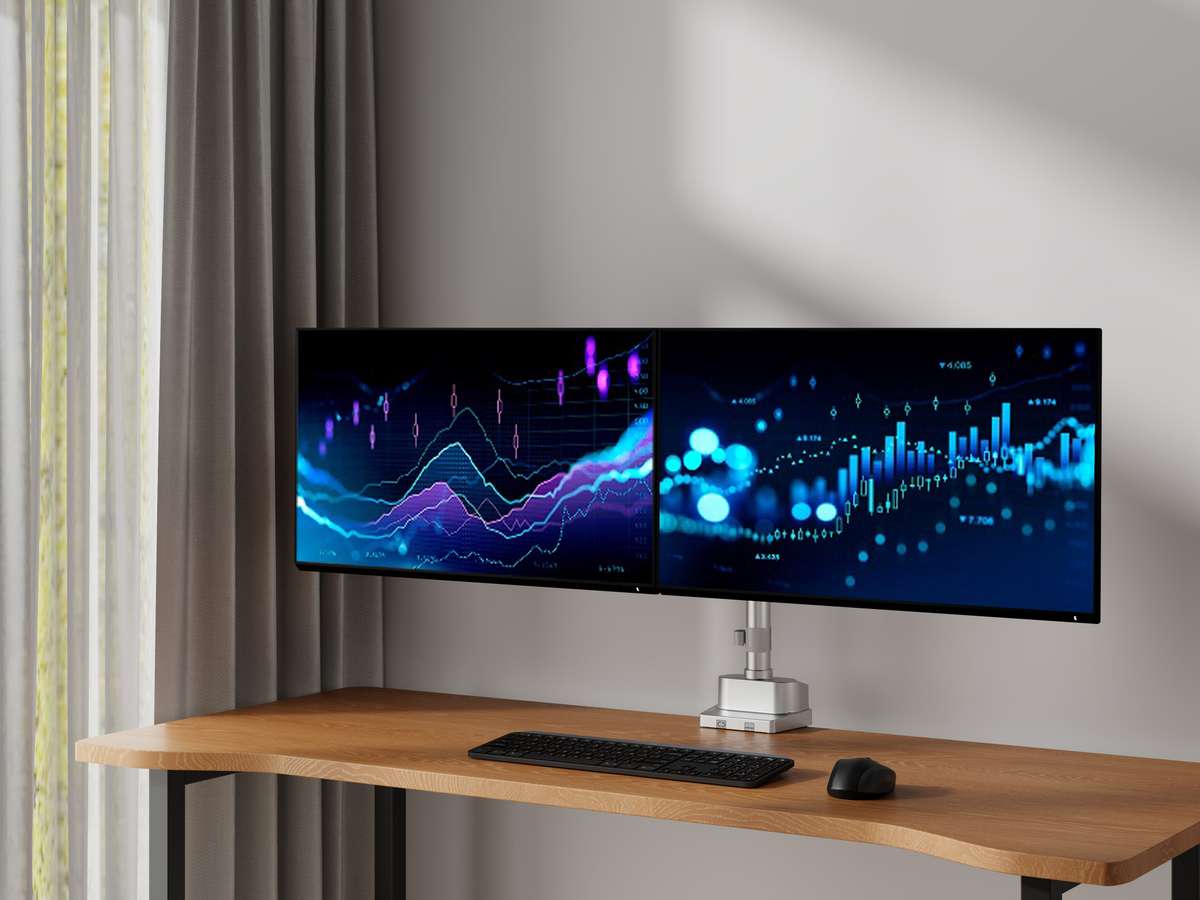 NEOHUBS Pro+ Dual Monitor Arm Mount Premium Adjustable VESA Desktop Stand