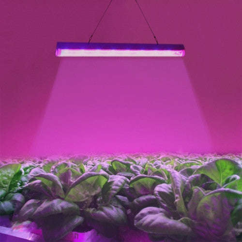 T5 4.8W 24 LEDs LED Plant Growth Light Greenhouse Light Aquarium Light(Red Light + Blue Light)