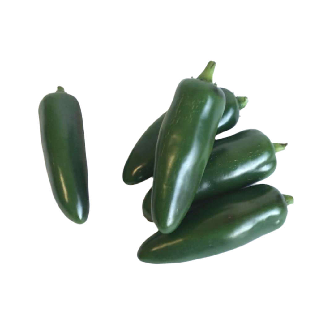 Giant Jalapeno Chilli Pepper Bravo BLS F1  - Capsicum Annuum - 5 Seeds - The Patio Vegetable Coll...