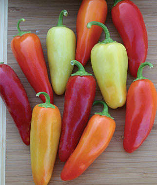 Santa Fe Grande Chilli Pepper - Capsicum Annuum - 20 Seeds