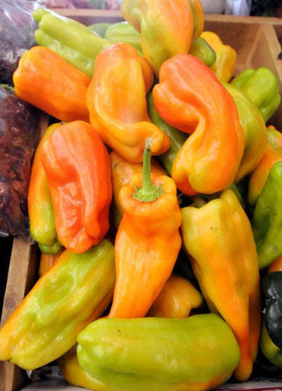 Cubanelle Sweet Pepper - Capsicum Annuum - 20 Seeds