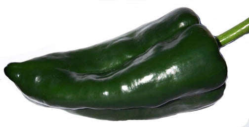 Ancho Grande Chilli Pepper - Poblano Ancho - Capsicum Annuum - 20 Seeds